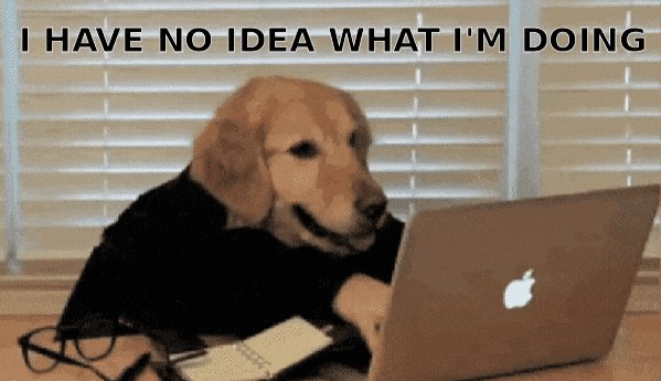 A dog no knowing what it's doing